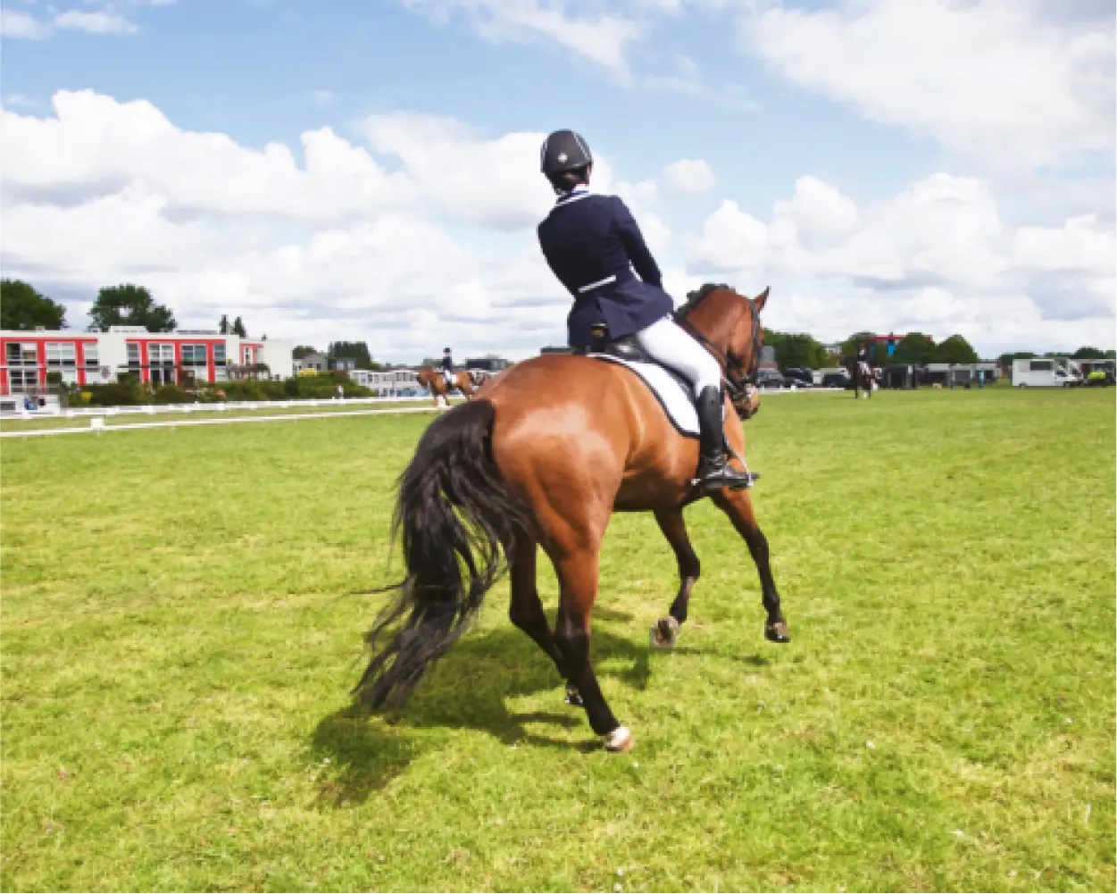 Ellerston testimonial image