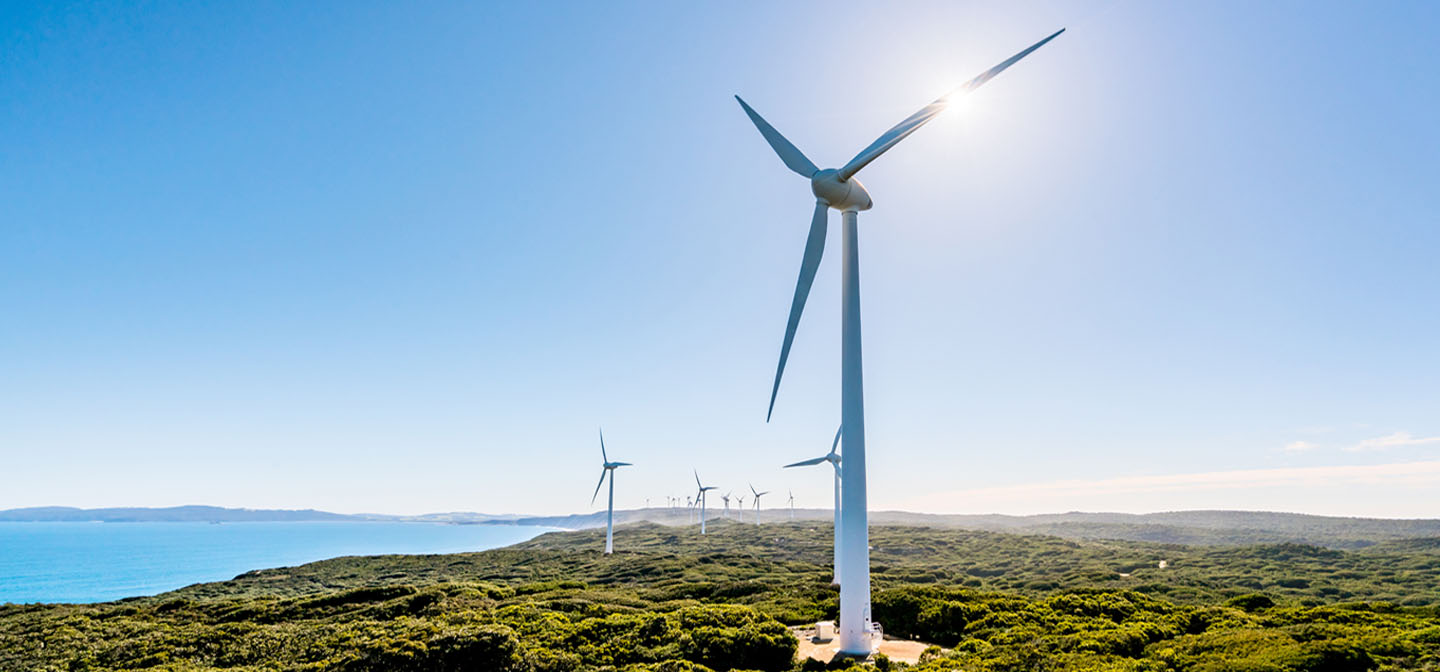 Navigating the transition to a Net Zero economy header - Wind Turbines