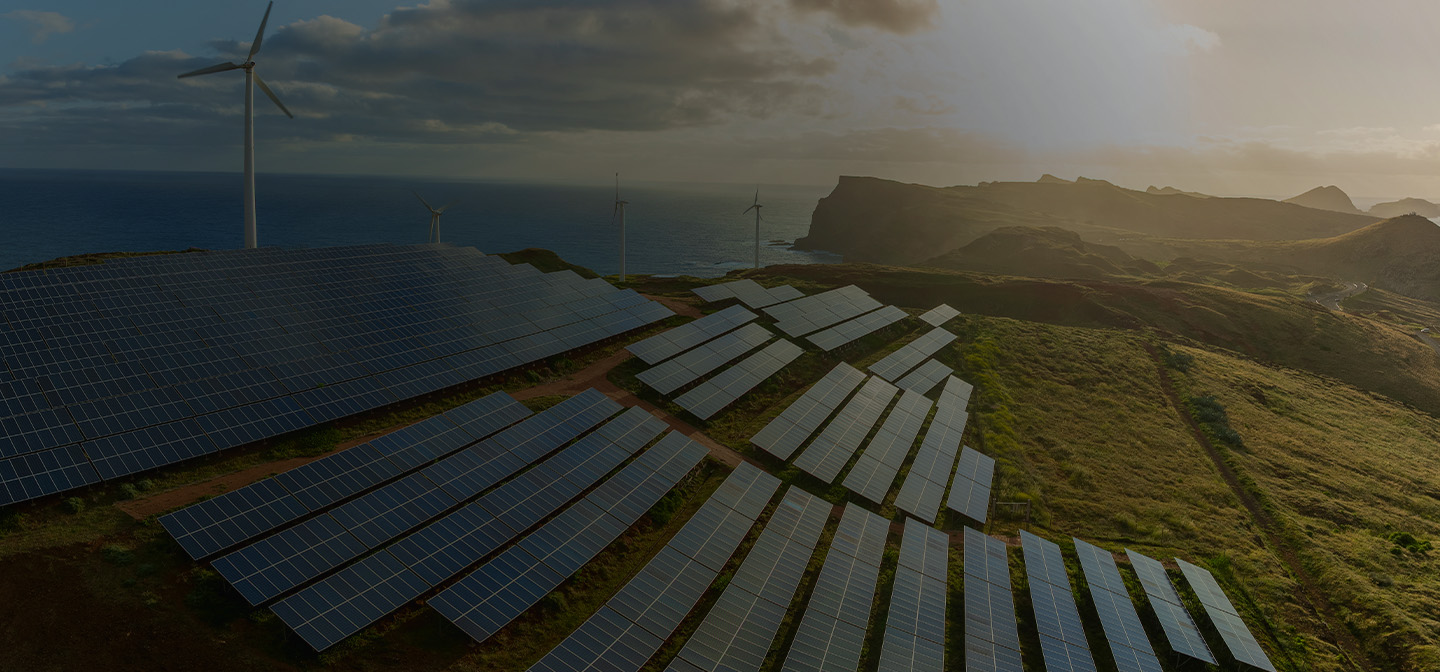 Solar Field