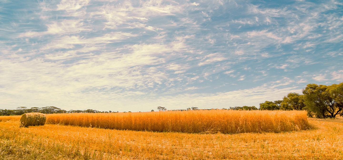 April 2024 Electricity Price Review header - Field scene