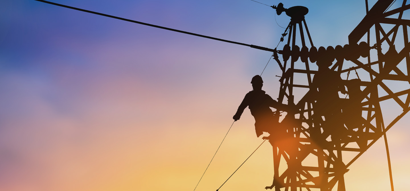Project EnergyConnect header - man inspecting power lines