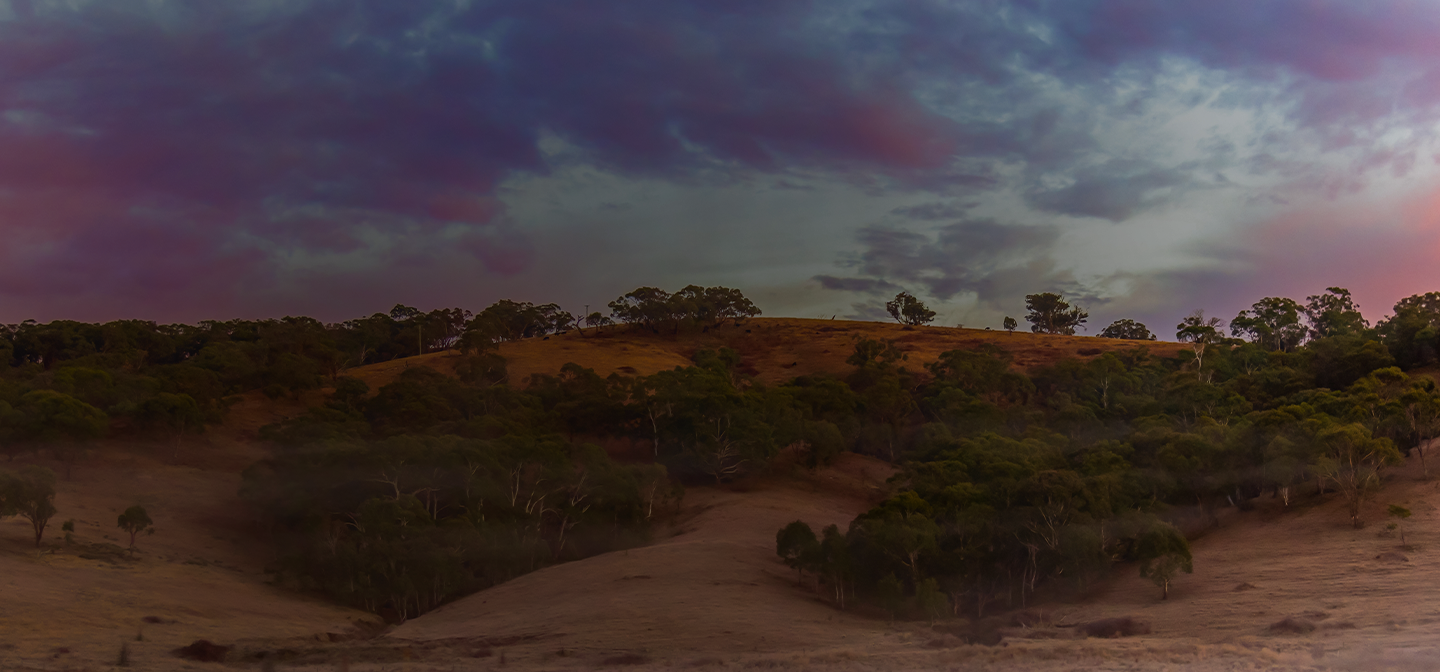 Spring in New South Wales