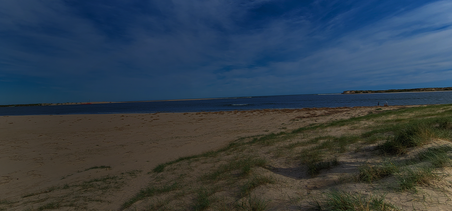 Australian Landscape